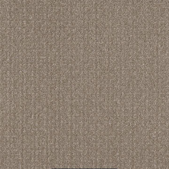 Transform Color:  Simply Tan Carpet