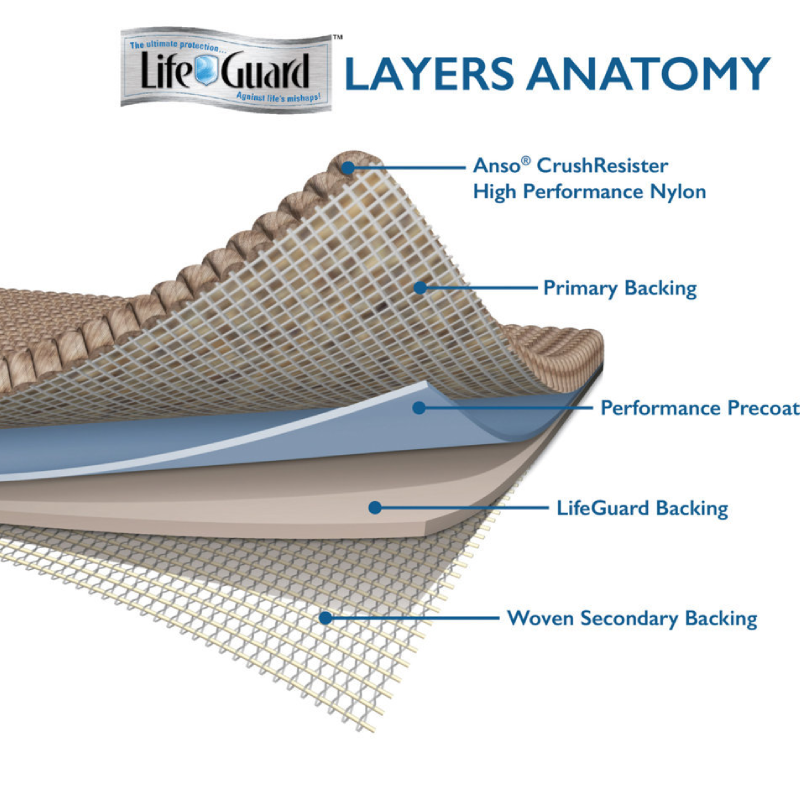 ShawLifeGuardGraphic-800x800