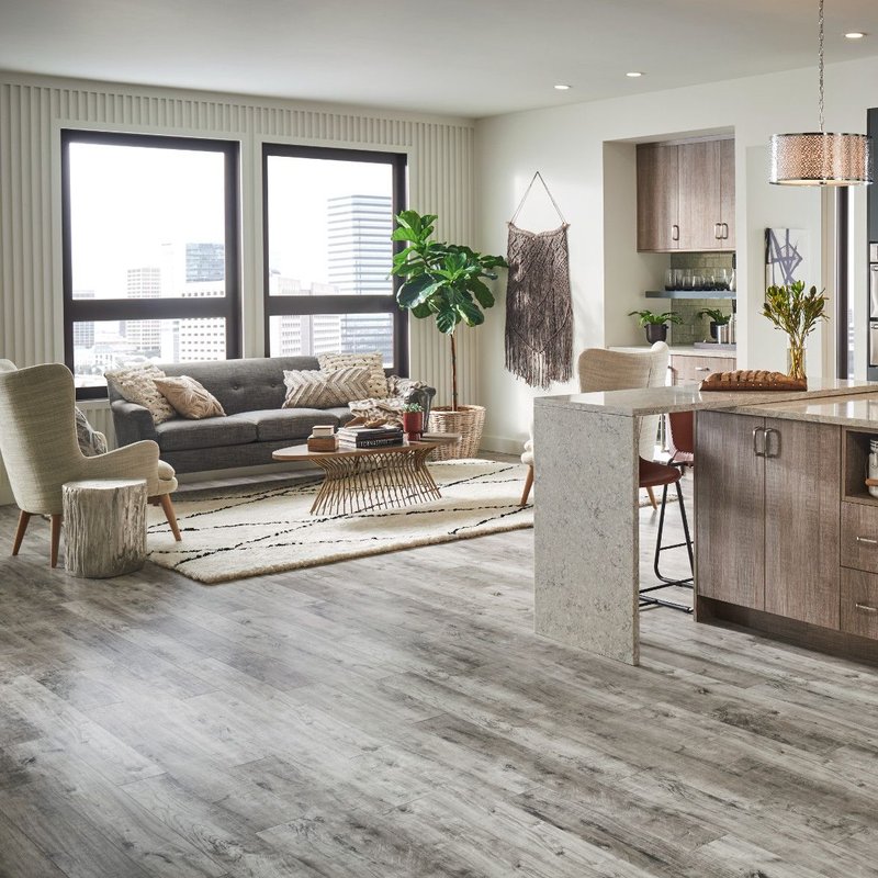 modern living room and kitchen