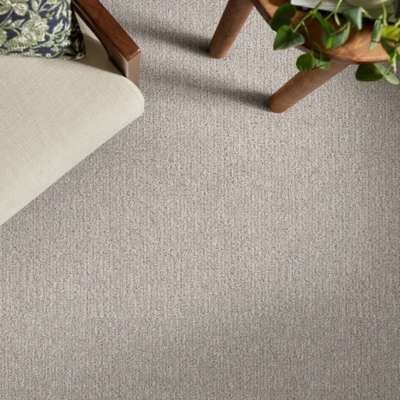 Shaw-Clearly-Chic-800x800